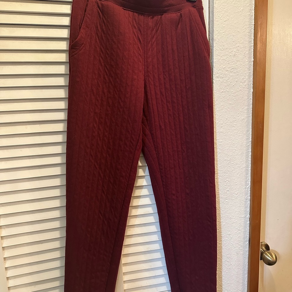 Goodfellow & Co Red Track Pants with Elastic Waistband